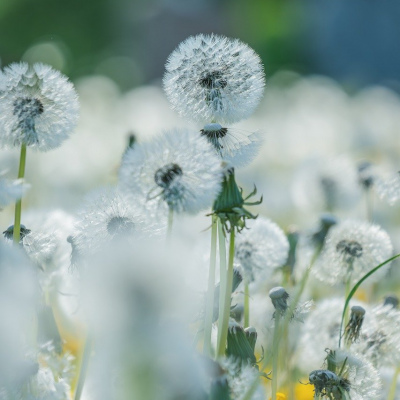 T5 PREÇO FINAL 121.000 €